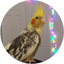 Sabrina Sabrina